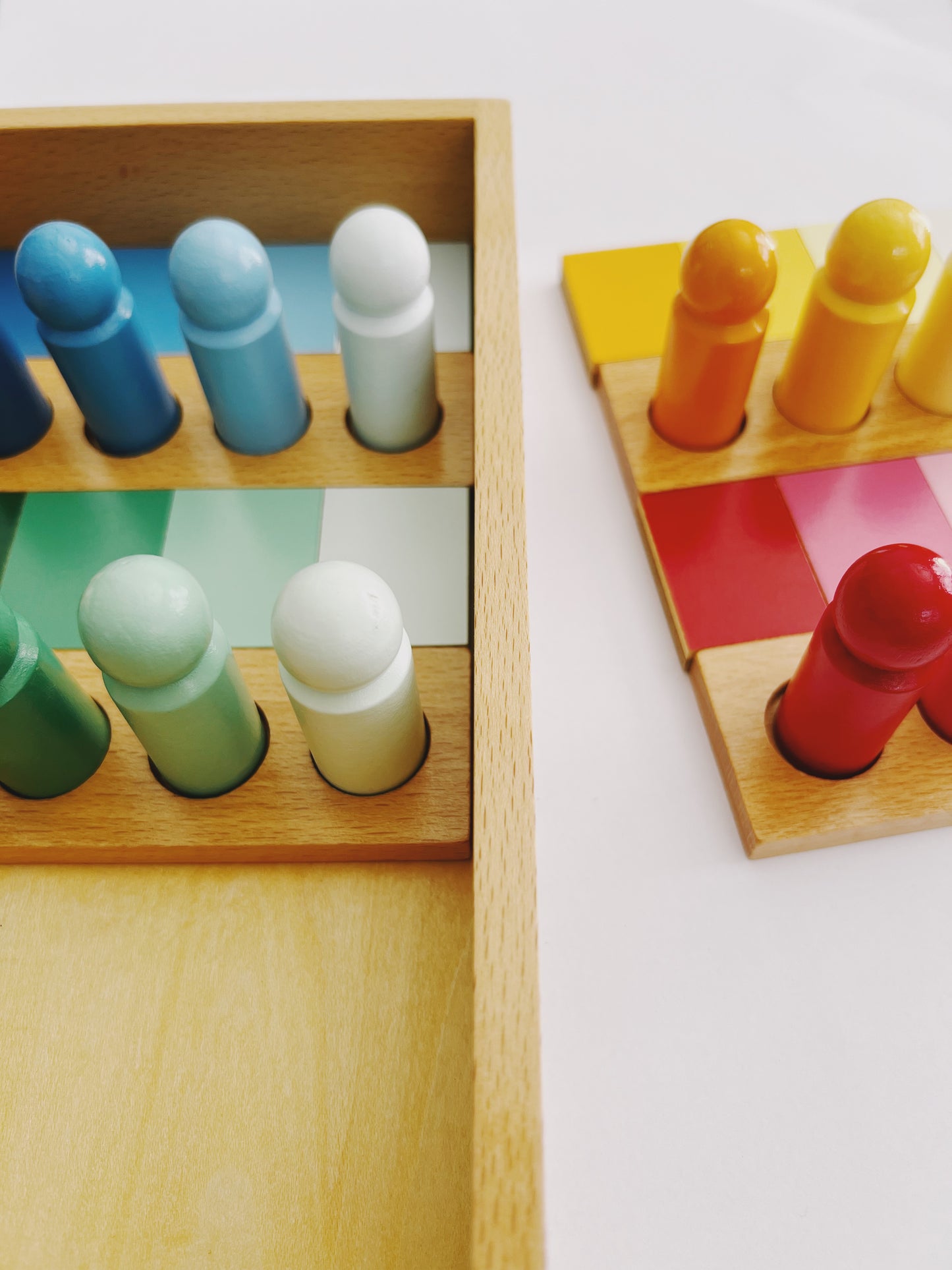 Jeu de Tri et d’Association des Couleurs Montessori