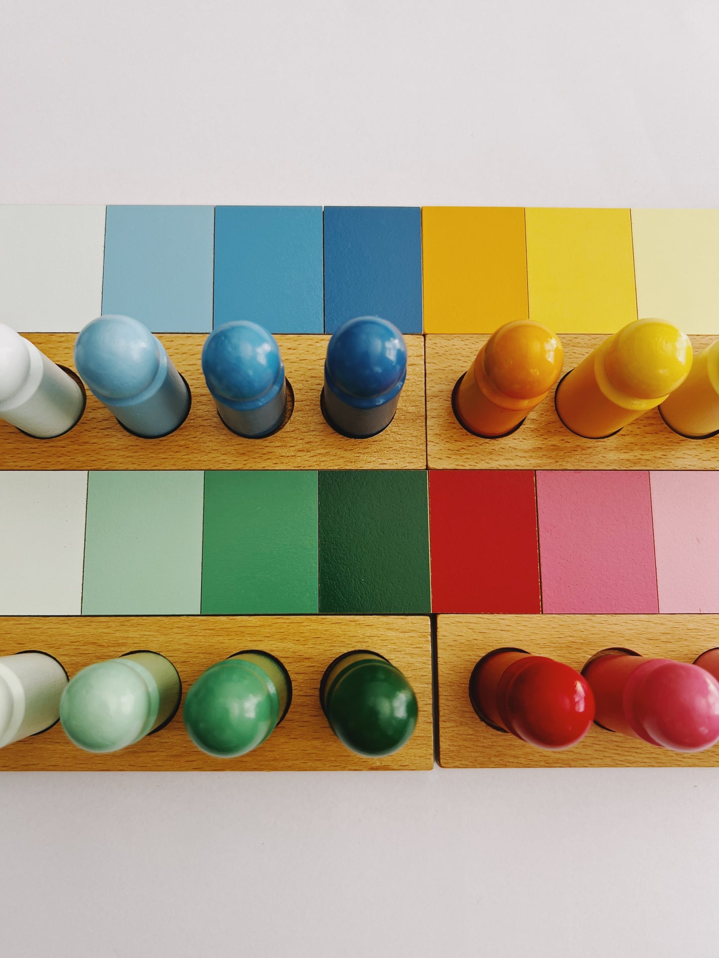 Jeu de Tri et d’Association des Couleurs Montessori