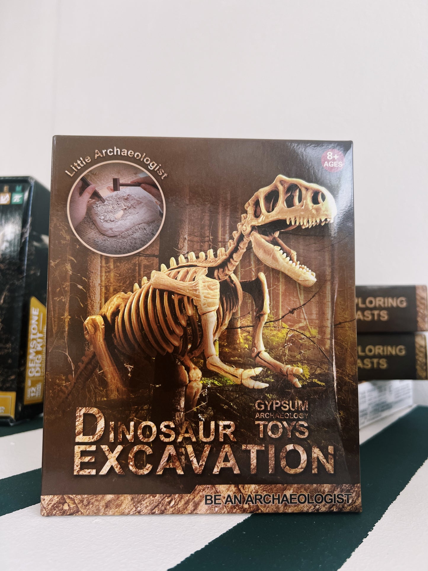 Jurassique à Creuser – Kit dinosaure à déterrer